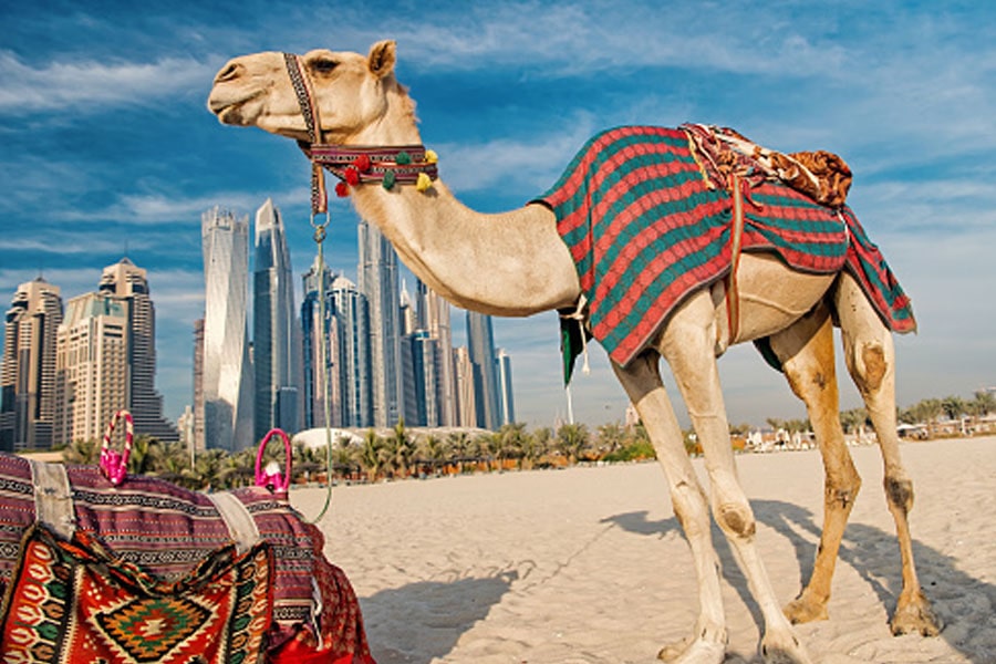 Khám Phá Dubai – Abu Dhabi